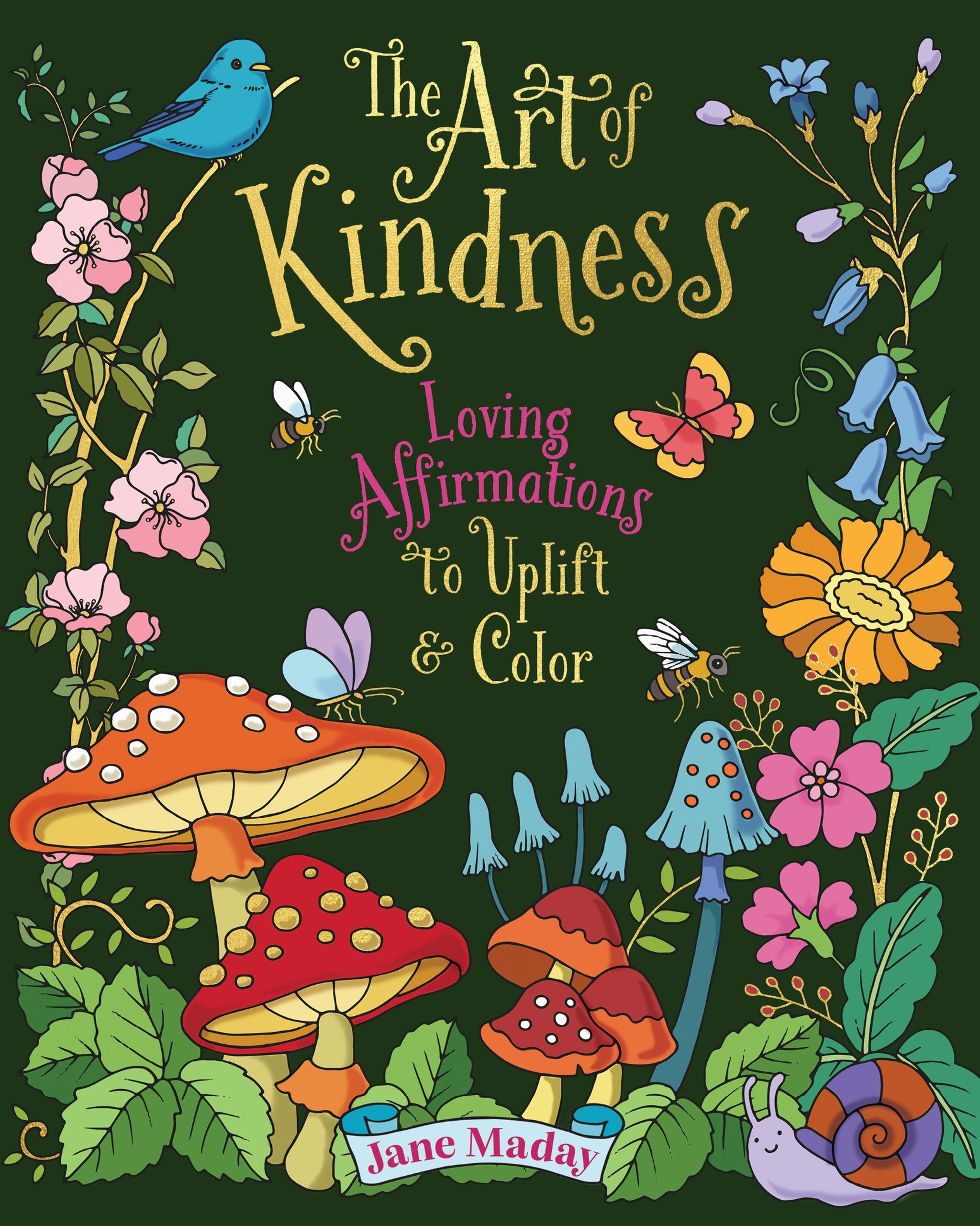 Cover image for The Art of Kindness ISBN 9781684621088